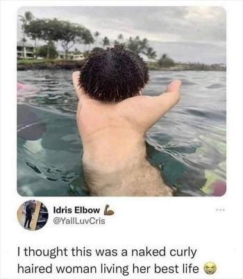 1700416308980.png