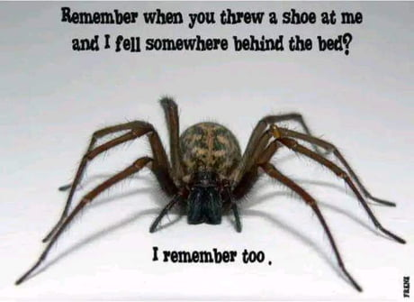 1701486638662.png