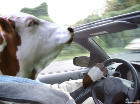 1702751416647.png