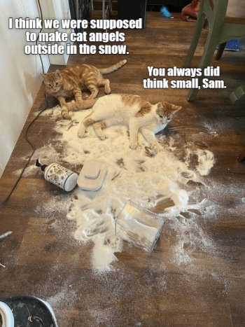 1703302272103.png