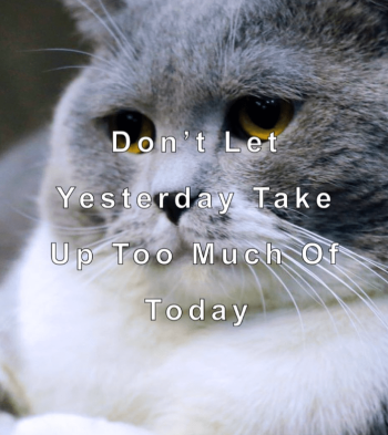 1703302691196.png