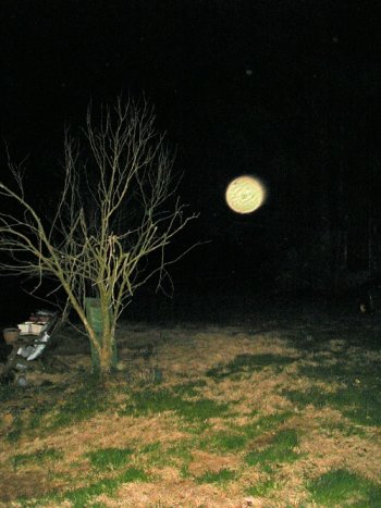 orb.photo.1.jpg