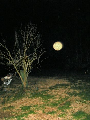 orb.photo.1.jpg