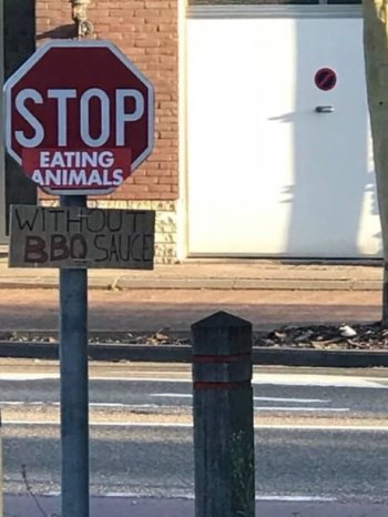 1704749806429.jpeg