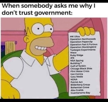 Trust In Government.JPG