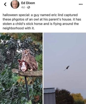 1706203667991.jpeg