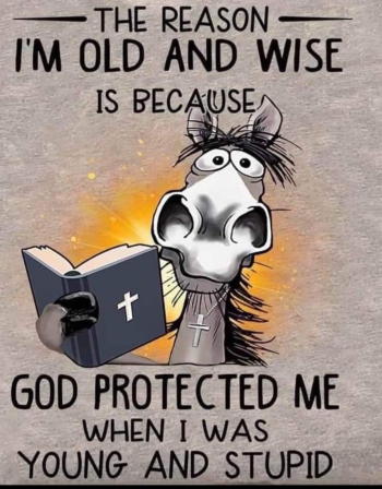 1706551726304.png