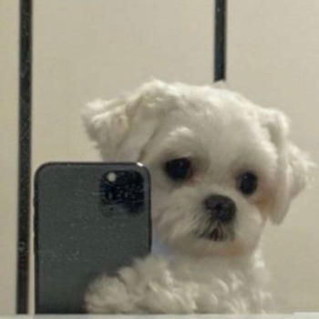 1707273942939.png
