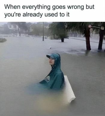 1707433408944.png
