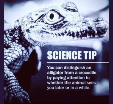 ScienceTip.jpg