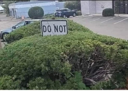 1709352811716.jpeg