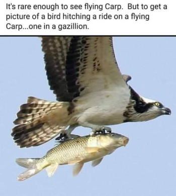 1709474327570.png