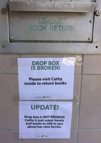 1709665291038.jpeg