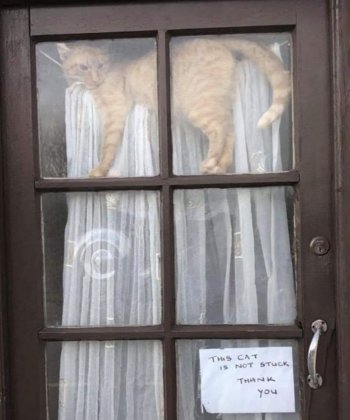 1709749845038.jpeg