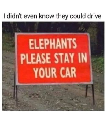 1709779756838.jpeg