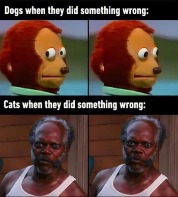 1709822513500.png