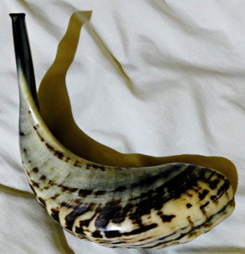 Shofar 2.JPG