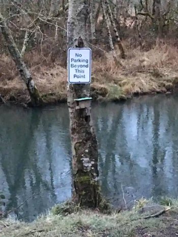 1710201645779.jpeg