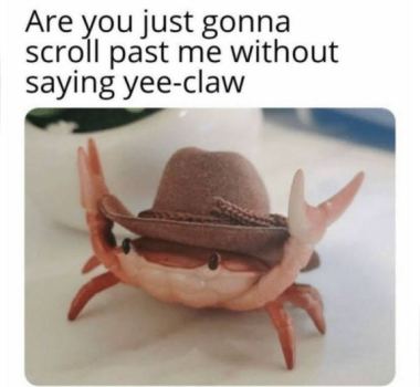 1710252877199.png
