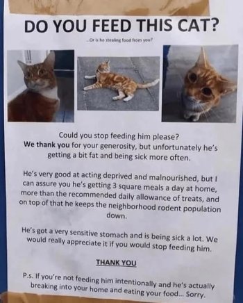 1710447092115.jpeg