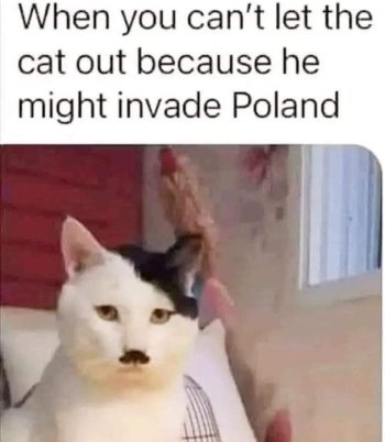 1710457937350.jpeg
