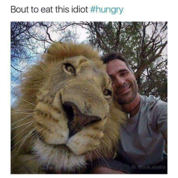 1710953904791.png