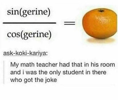 1715720295582.jpeg