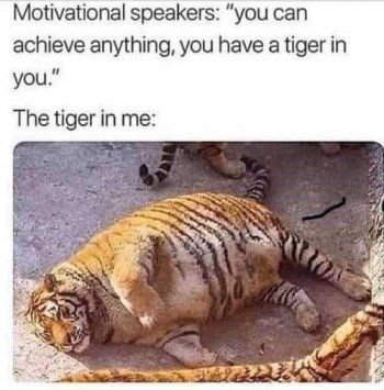 1715721442288.jpeg