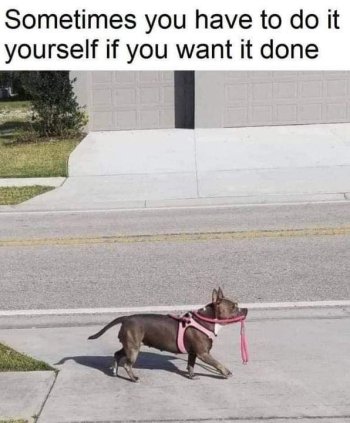 1715870225272.jpeg