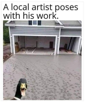 1715871653726.jpeg
