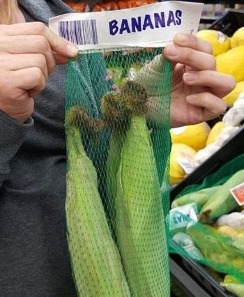 1715883562121.jpeg