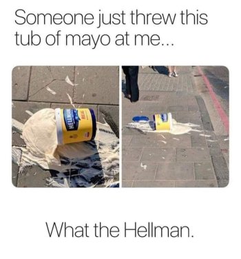 1716303080095.jpeg