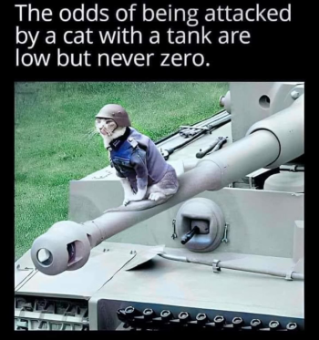 1716463307258.png