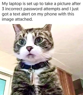 1716492339795.jpeg