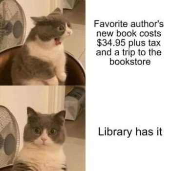 1716597161361.jpeg