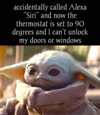 1716661217924.jpeg