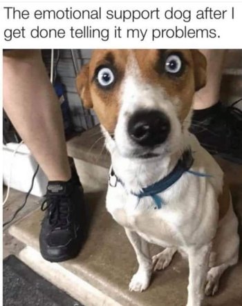 1716755851554.jpeg