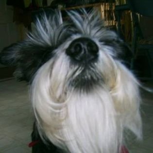 MY BOY SO NOSY.jpg