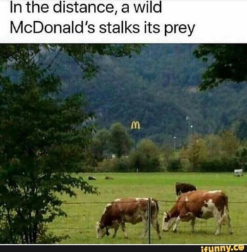 1716906143053.png