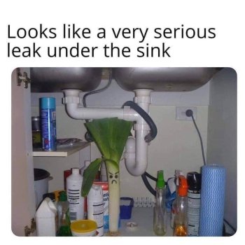 1716931466430.jpeg