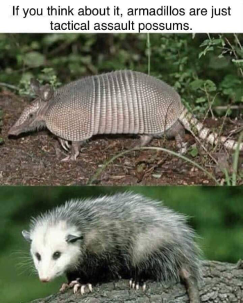 1717043255962.png