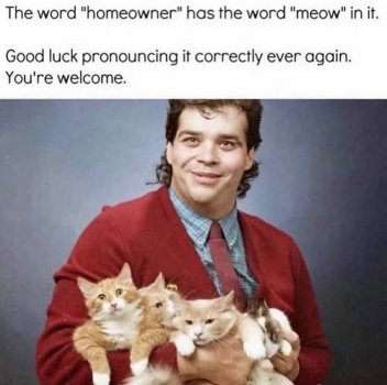 1717103878878.jpeg
