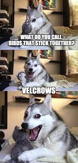 1717343122055.jpeg