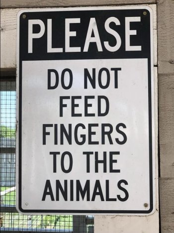 1717349025534.jpeg