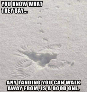 1717369203800.png
