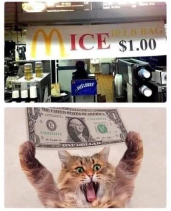 1717418714814.jpeg
