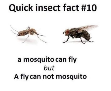1717469438749.jpeg