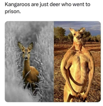 1717590122381.png