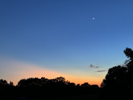 IMG_0390.jpeg