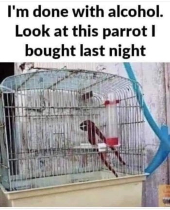 1718069814890.jpeg